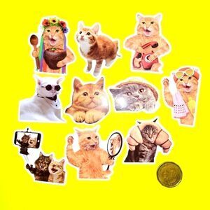 3/$20 brand new 10x waterproof funny stickers